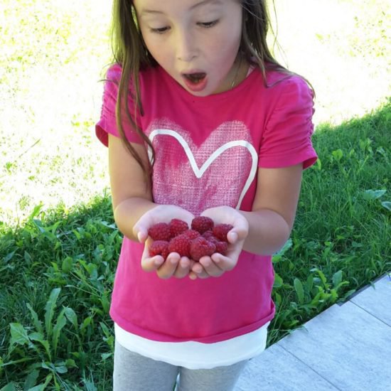 Himbeeren aus unserem Garten