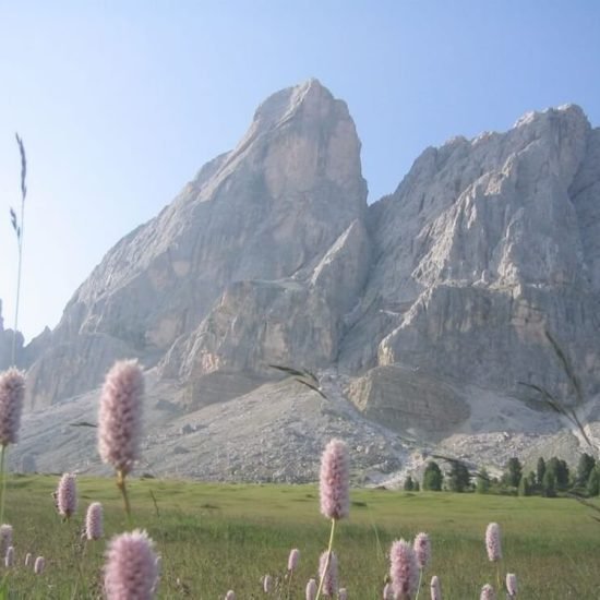 Impressionen vom Sieberlechnerhof in Lüsen/Südtirol