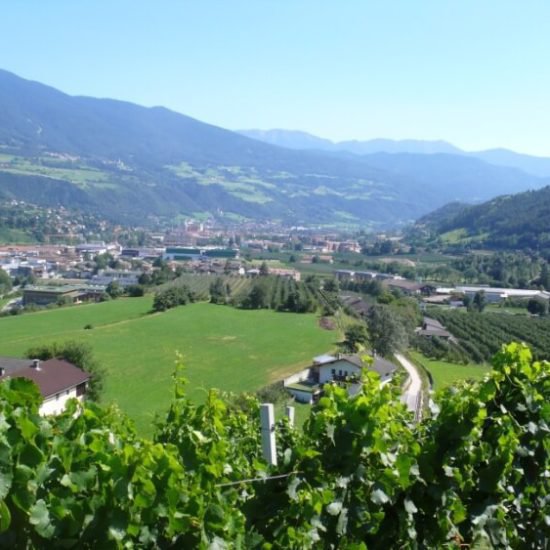 Impressionen vom Sieberlechnerhof in Lüsen/Südtirol