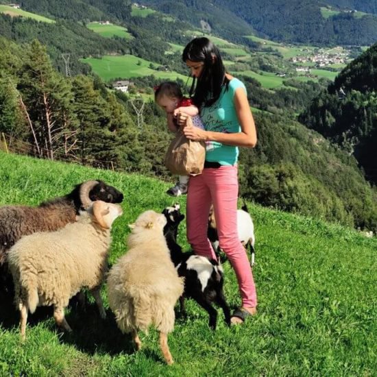 Impressionen vom Sieberlechnerhof in Lüsen/Südtirol