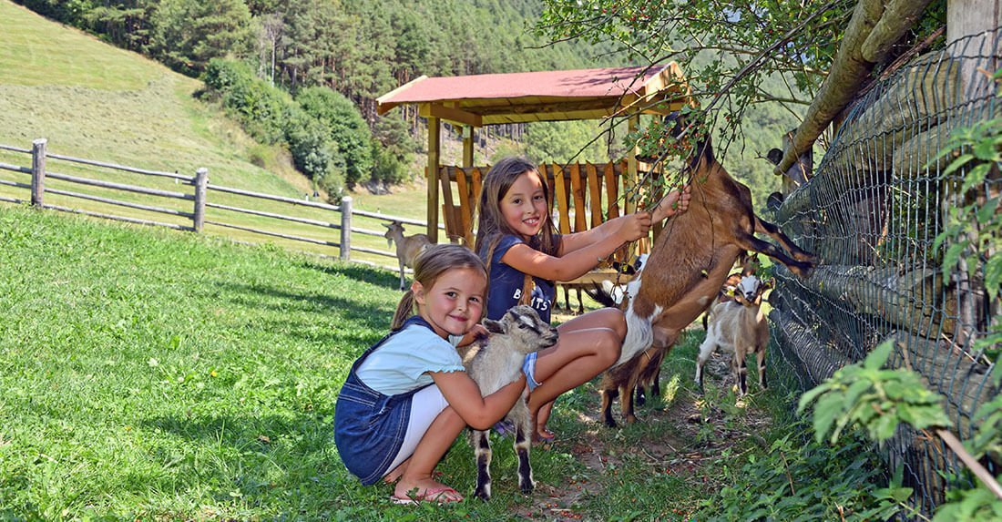 Kinder & Fun in Lüsen/Südtirol | Ferien auf dem Bauernhof