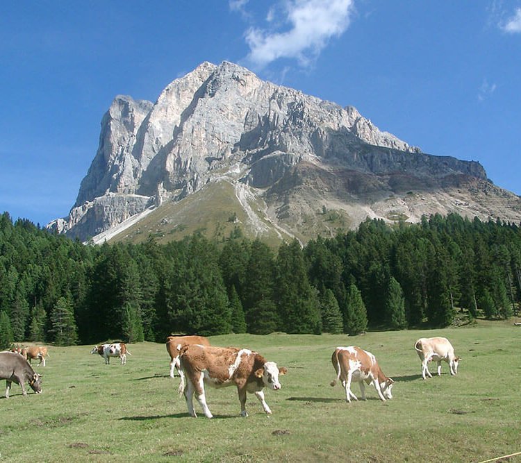 vacanze-escursionistiche-dolomiti-sieberlechner-luson-bressanone-11